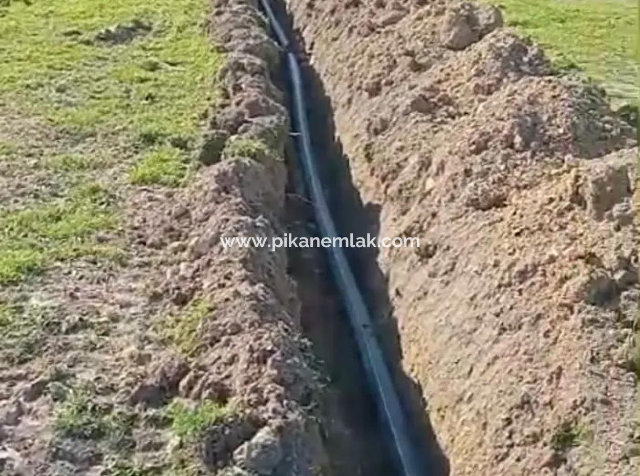 37.000 M² Walnussgarten In Denizli Tavas Ulukent Zum Verkauf