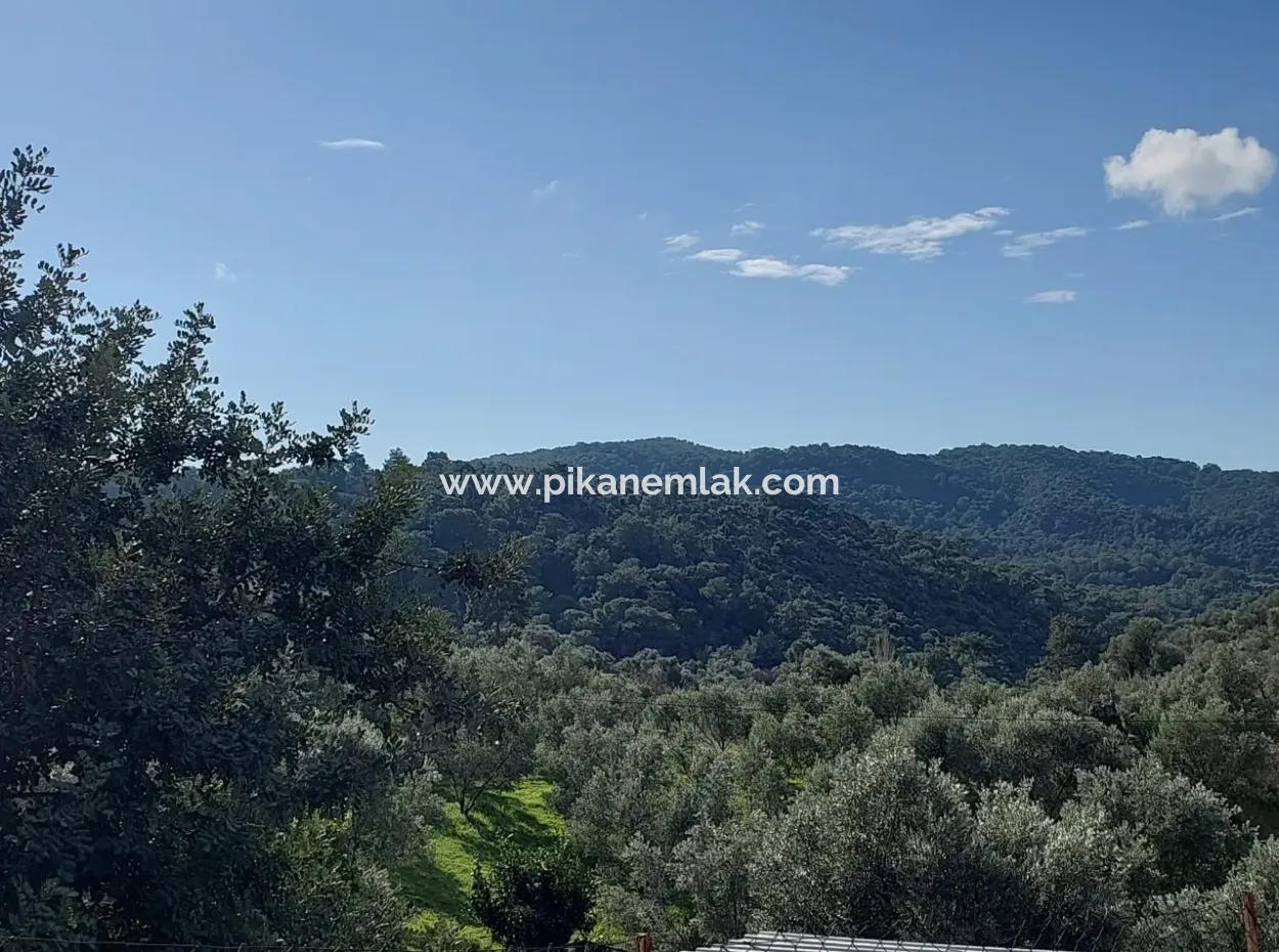 Ortaca Gökbel Abgetrenntes 2.640 M² Land Mit Meerblick Zum Verkauf