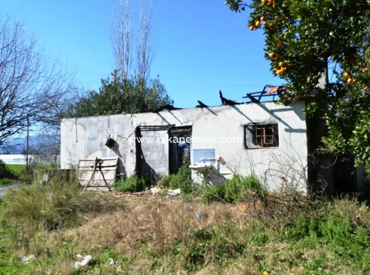 Schnäppchen Haus Im Dorf Zum Verkauf In Bogenschützen Oriya