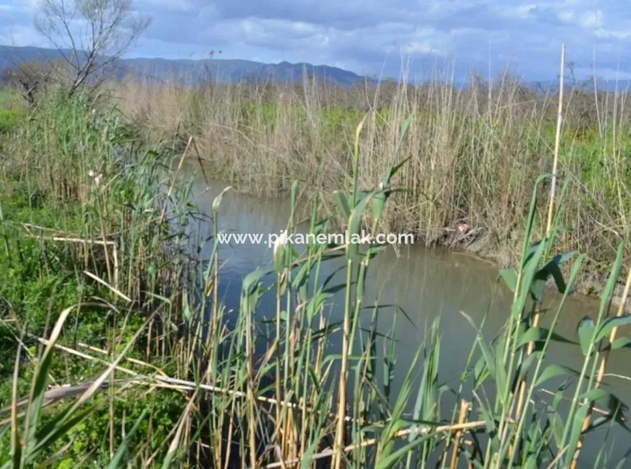 Bauernhof Zum Verkauf Schnäppchen In Dalyan