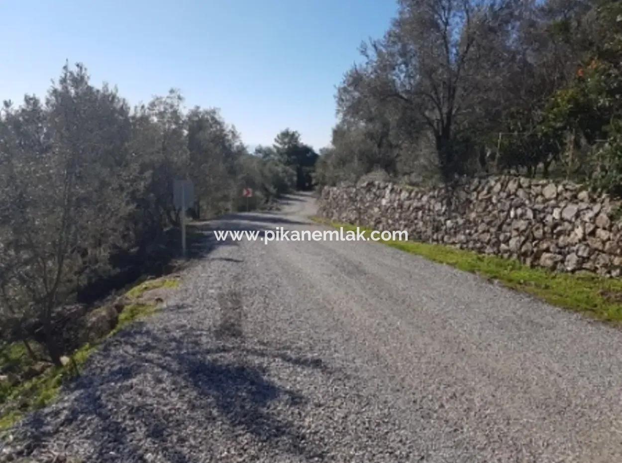 Meerblick Land Zum Verkauf In Göcek Gökçeovacık