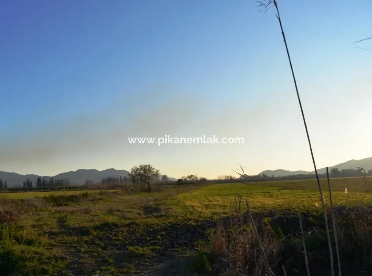 Dringende Grundstücke Zum Verkauf In Ula Karabogurtlen Schnäppchen
