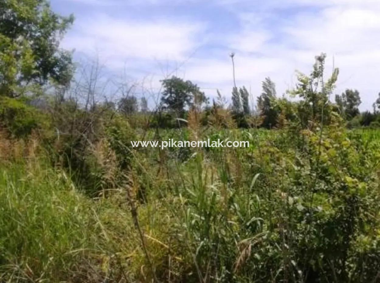 Oriya Land In Der Nähe Der Hauptstraße Zum Verkauf In Fethiye