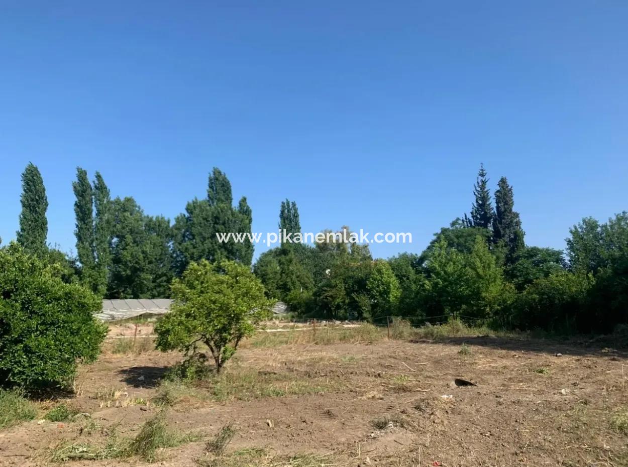 Villa-358 M2 Grundstück Zum Verkauf In Oriya Auch