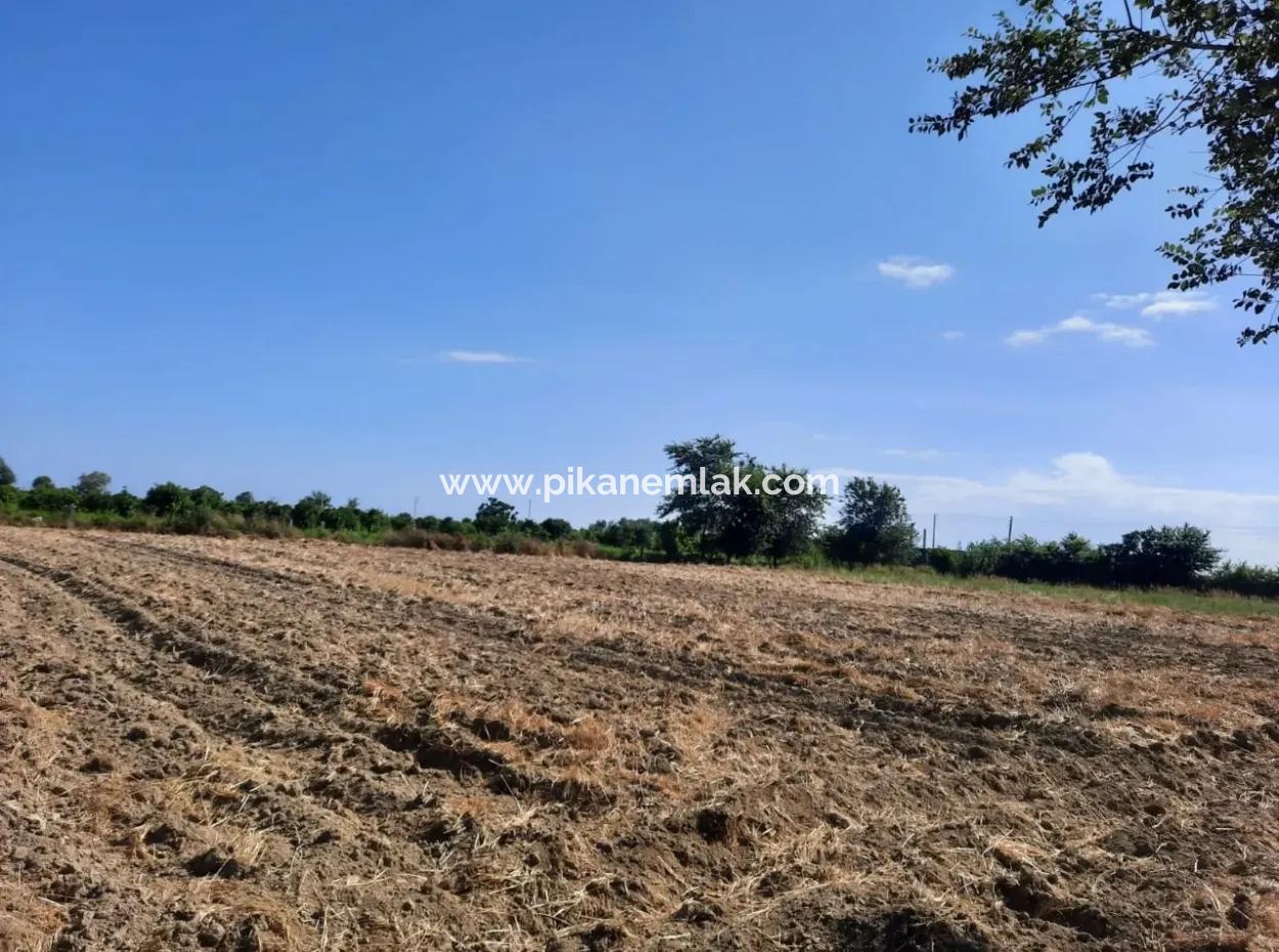 Oriya Fevziye Land Zum Verkauf In Null-Straße