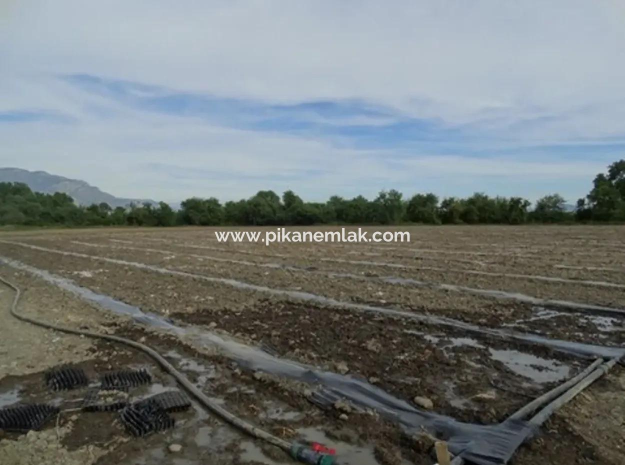 Auch Geeignet Für Investment-31,175 M2 Land Für Verkauf In Koycegiz Bis