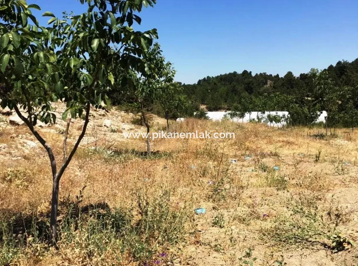Denizli 'Ameli Gökéyakada Nussbaumgarten Kaufen