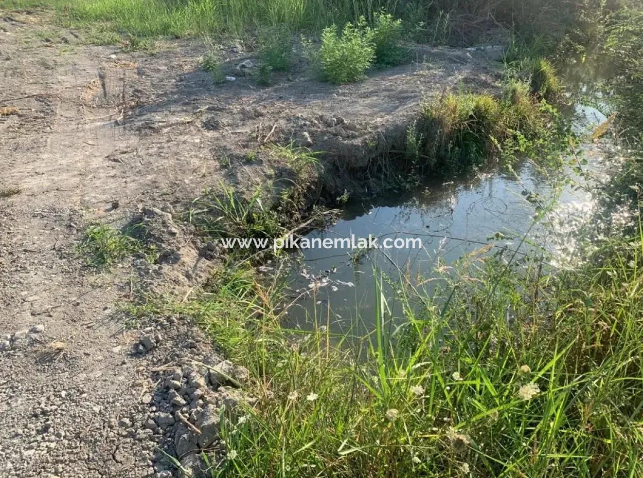 Ortaca Mergenlide 2 Parzellen Zu Verkaufen 13 000 M2 Feld