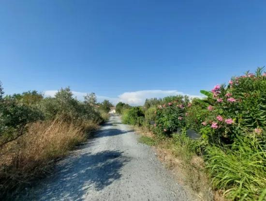 Grundstück In Der Gegend Von Dalyan Arikbaşi Zum Verkauf