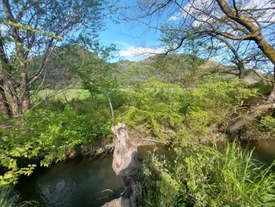 In Muğla Ortaca Eskiköy Stehen 12.805 M2 Land Mit Einem Anteil Zum Verkauf.