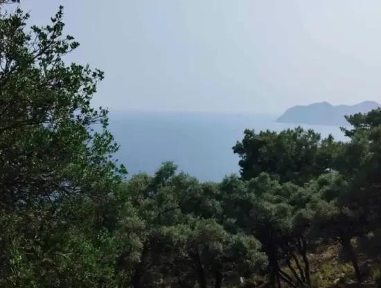 20.000 M² Meerblick 2B Landnutzungsrecht In Muğla Köyceğiz Çandır