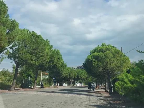 1000 M2 Gewerbeflächen In Der Dalyan Gülpınarda İşlek Straße Werden In Form Von Build Operate Transfer Zur Verfügung Gestellt