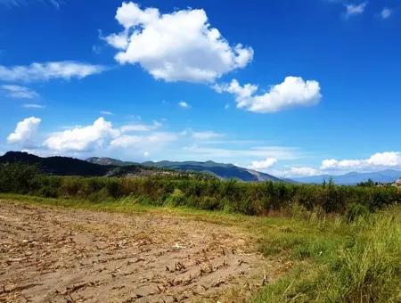 Fruchtbares Schnäppchenland Zum Verkauf In Muğla Ortaca Güzelyurt