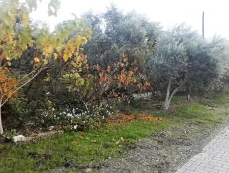 Zoning Grundstücke Mit Seeblick Zum Verkauf In Köycegiz Toparlar