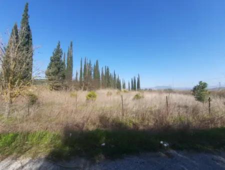 Mugla Ortaca Güzelyurt Sarégerme Straße Mit Blick Auf 2256 M2 Feld Zu Verkaufen