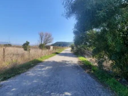 Mugla Ortaca Güzelyurt Sarégerme Straße Mit Blick Auf 2256 M2 Feld Zu Verkaufen