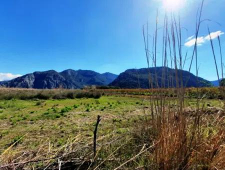 4830 M2 Land In Der Nähe Der Strandstraße Iztuzu Zum Verkauf In Mugla Dalyan