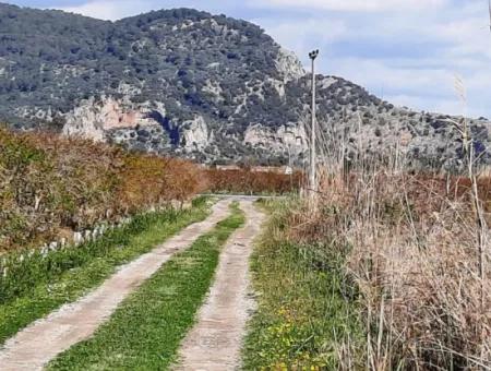 4830 M2 Land In Der Nähe Der Strandstraße Iztuzu Zum Verkauf In Mugla Dalyan