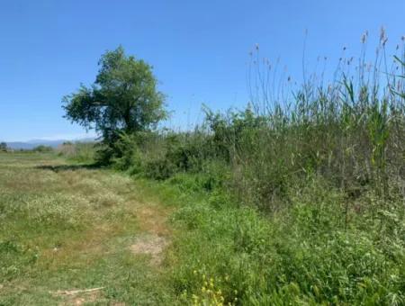 Schnäppchen Freistehendes Land Zum Verkauf In Ortaca Güzelyurt