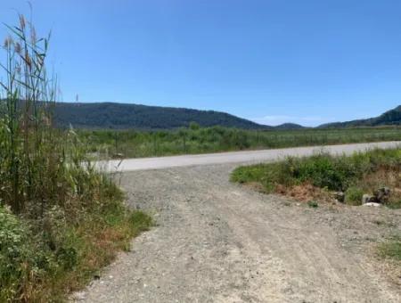 Schnäppchen Freistehendes Land Zum Verkauf In Ortaca Güzelyurt