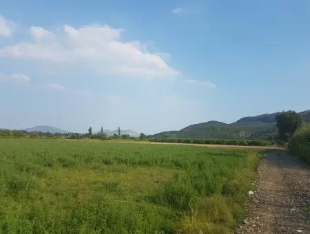 3700 M2 Fruchtbares Feld Zum Verkauf In Ortaca Fevziye