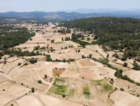 3031 M2 Freistehendes Feld Zu Verkaufen In Mugla Mentese Denizova