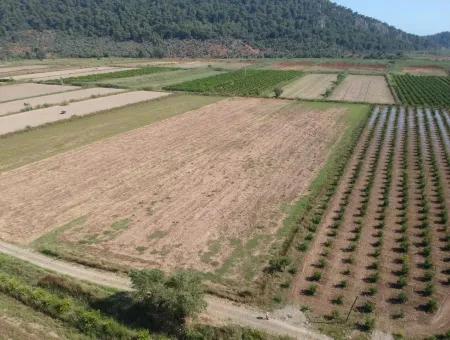 Für Verkauf Land Guzelyurt Ta Oriya, Schnäppchen 9726 M2