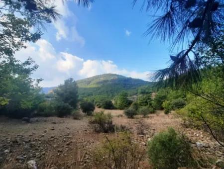 Mugla Dalyan Gökbel 320 M2 Schnäppchengrundstück Zum Verkauf