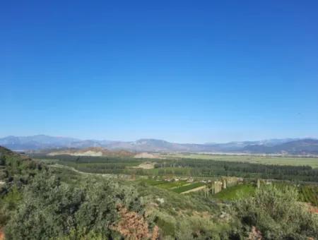 Olivenhain Mit Blick Auf Das Meer Und Die Natur In Ortaca Fevziye Zu Verkaufen