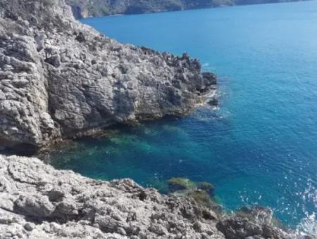 Dalyan, Gökbel De Meer Freistehend 1 300 M2 Olivenhain Zu Verkaufen