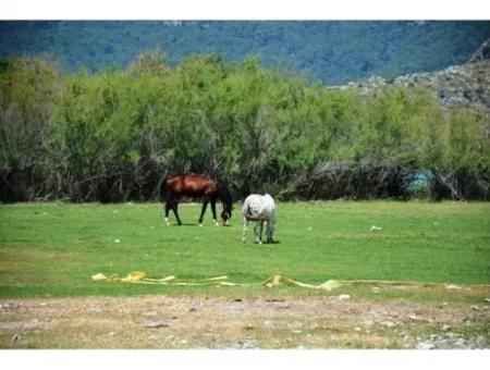 Freistehende Villa In Dalyan Zum Verkauf In Channel Zero