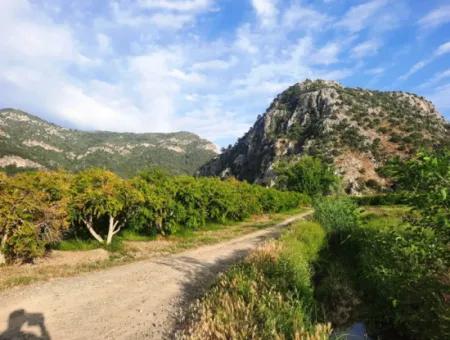 For Sale Big Land In Dalyan 24 000 M2
