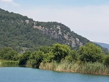 Köyceğiz Çandır Dalyan Kanal Null 25.190 M2 Grundstück, Geeignet Für Investitionen Zum Verkauf