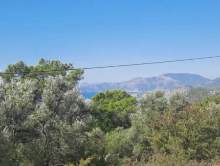 Muğla Gökbelde See- Und Meerblick 6 000M2 Grundstück Zum Verkauf