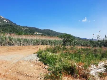 14300 M2 Grundstück Zum Verkauf In Muğla Ortaca Sarıgerme