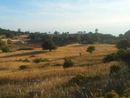 Grundstück Mit Meerblick Zum Verkauf In Boğaziçi Seydikemer