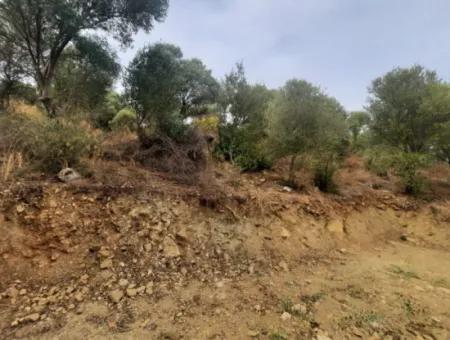 2 500 M2 Schatzgrundstück In Eskiköy Das Besitzrecht Wird Übertragen Oder Das Fahrzeug Ausgetauscht