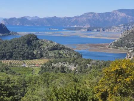 4 1 Freistehende Möblierte Villa Mit Meerblick Zum Verkauf In Muğla Dalyan Gökbel