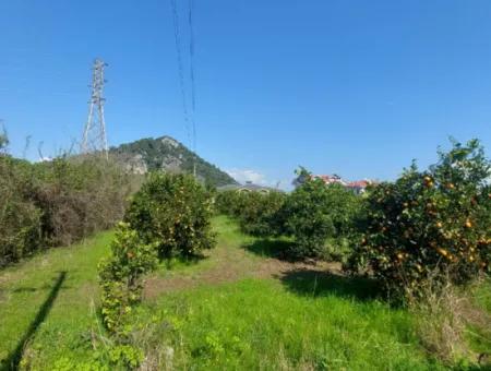 722 M2 Freistehendes Grundstück Zum Kauf In Dalyan, Muğla