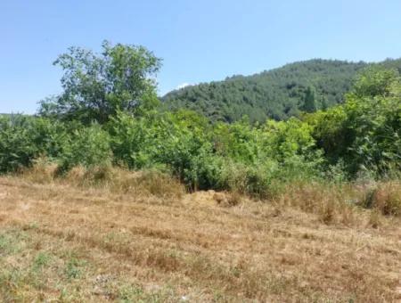 750 M2 Anteil Von 5 200 M2 Land In Ortaca Kemaliye Steht Zum Verkauf