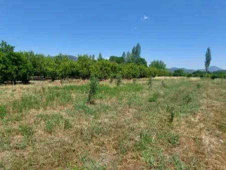 750 M2 Anteil Von 5 200 M2 Land In Ortaca Kemaliye Steht Zum Verkauf