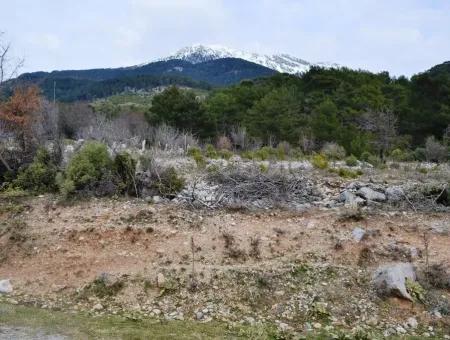 Zum Verkauf Schnäppchen Land In Fethiye Ta Sty