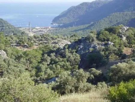 12.926 N2 Meerblick Grundstück Zum Verkauf In Köyceğiz Ekincik