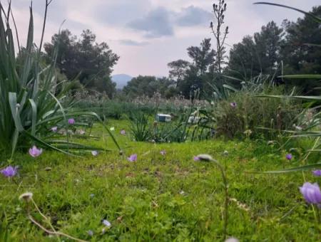 3.500 M2 Freistehendes Grundstück Mit Meerblick Zum Verkauf In Dalaman Gürköy