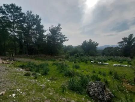 3.500 M2 Freistehendes Grundstück Mit Meerblick Zum Verkauf In Dalaman Gürköy