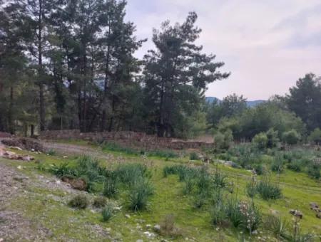 3.500 M2 Freistehendes Grundstück Mit Meerblick Zum Verkauf In Dalaman Gürköy