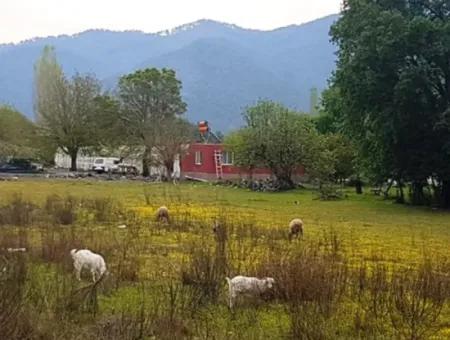 3 577 M2 Land Geeignet Für Nullinvestitionen An Der Hauptstraße Dalyan In Muğla Ortaca Okçular