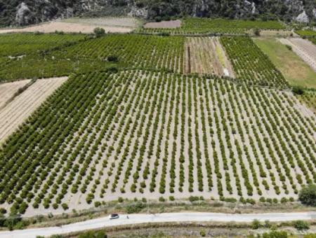 13 500 M2 Feld Zum Verkauf In Ortaca Mergenli
