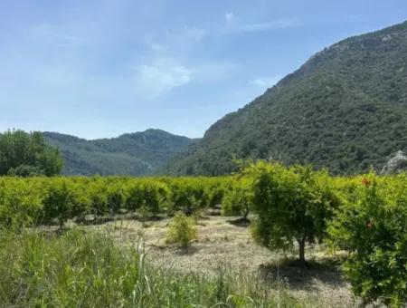 13 500 M2 Feld Zum Verkauf In Ortaca Mergenli