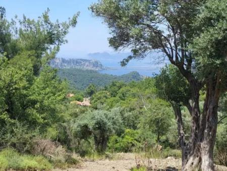 1.000 M² Investitionsgrundstück Mit See- Und Meerblick Zum Verkauf In Muğla Ortaca Gökbel